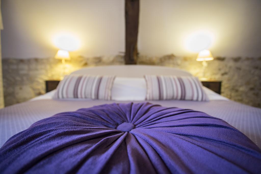 Manoir De La Blonnerie Bed & Breakfast Vellèches Dış mekan fotoğraf